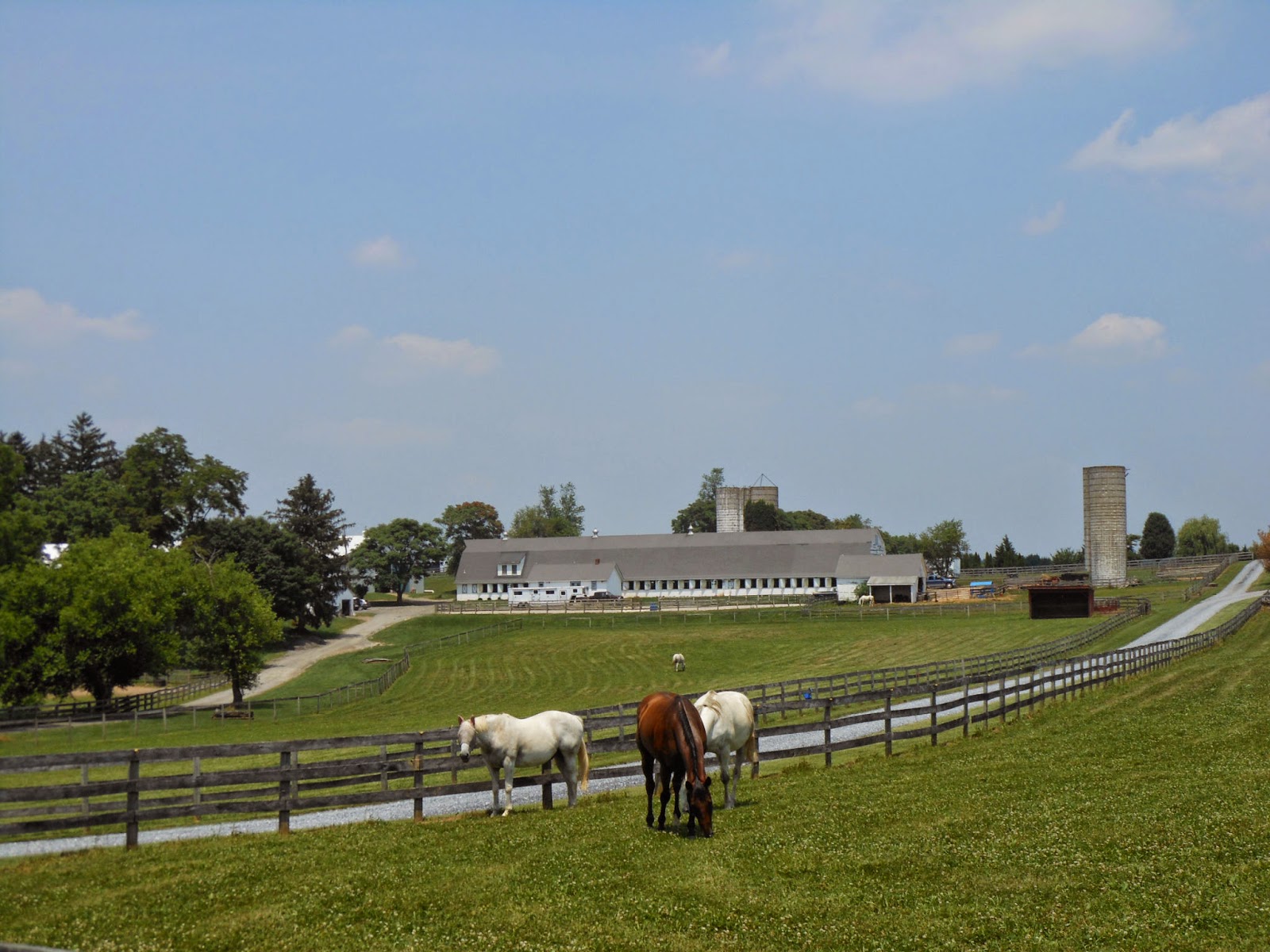 Southwind Farm, Inc. A Premier Horse Boarding Facility located in