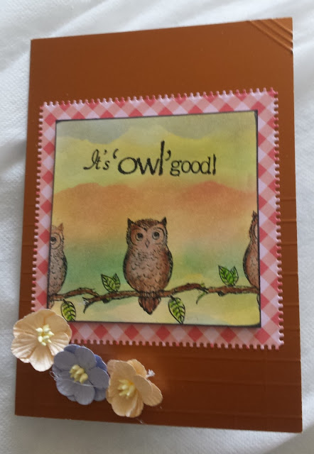It's Owl Good - owl on branch 7" x 5" hand coloured card It's Owl Good - owl on branch 7" x 5" hand coloured card