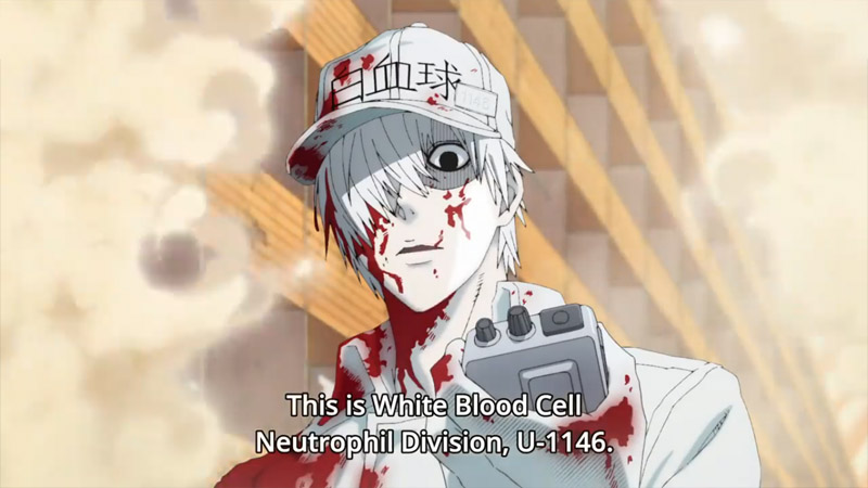 Hataraku Saibou (Cells At Work!) Image by david production