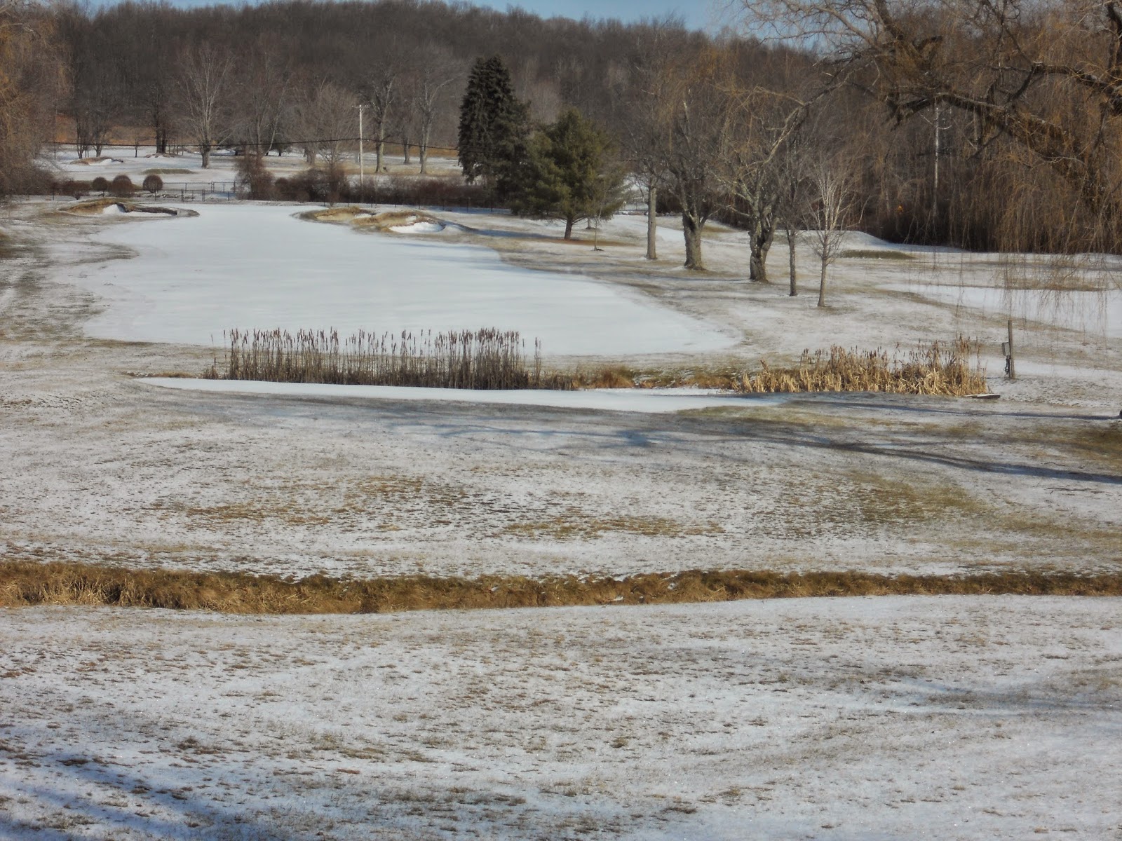 Mahopac Golf & Beach Club Greens Department