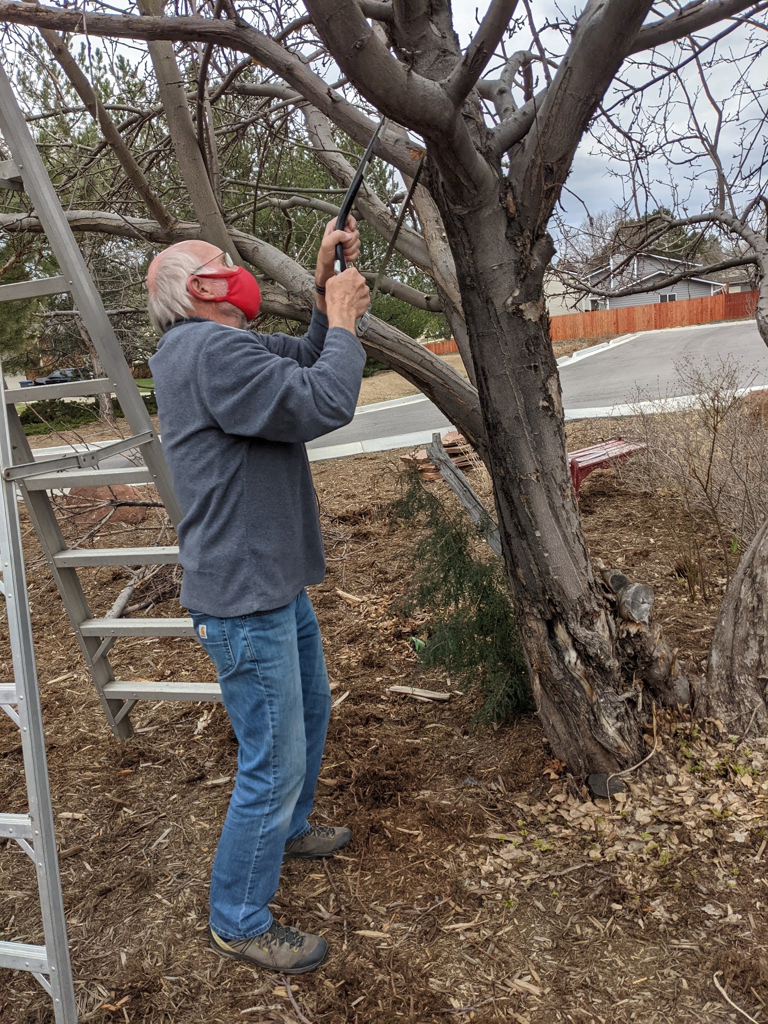 BVUUF Grounds Teams Pruning the Apple Trees & Trimming the Switch Grass