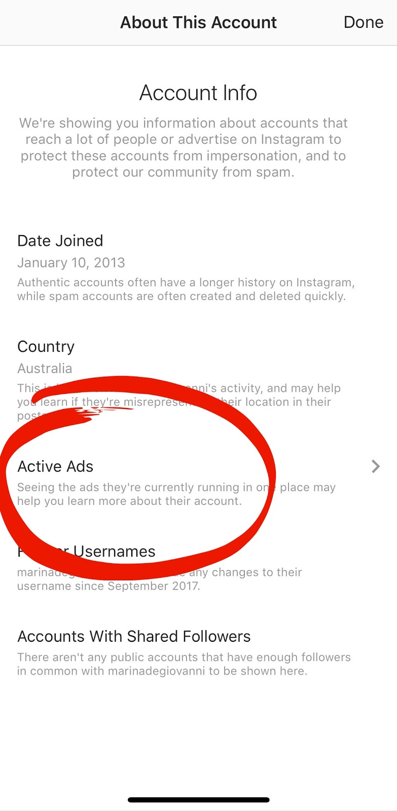 Marina De Giovanni Instagram Accelerator Is It Worth It