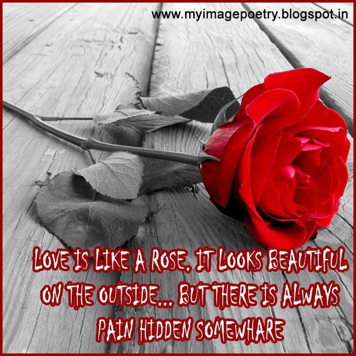 Image Poetry Love is Like Quotes