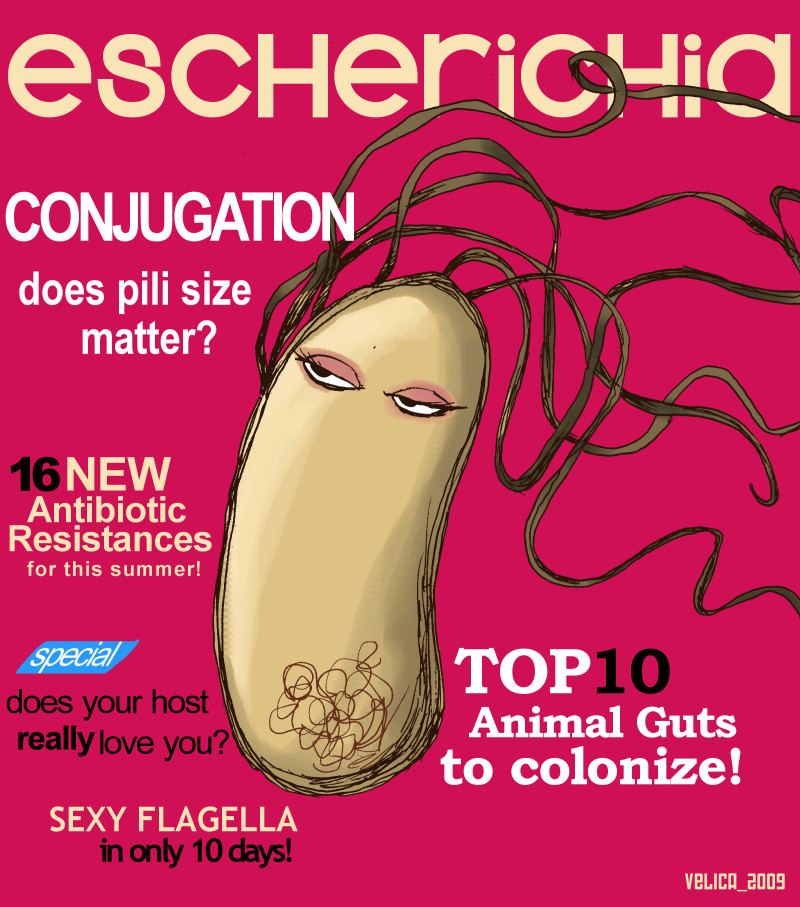 e coli coloring pages - photo #45
