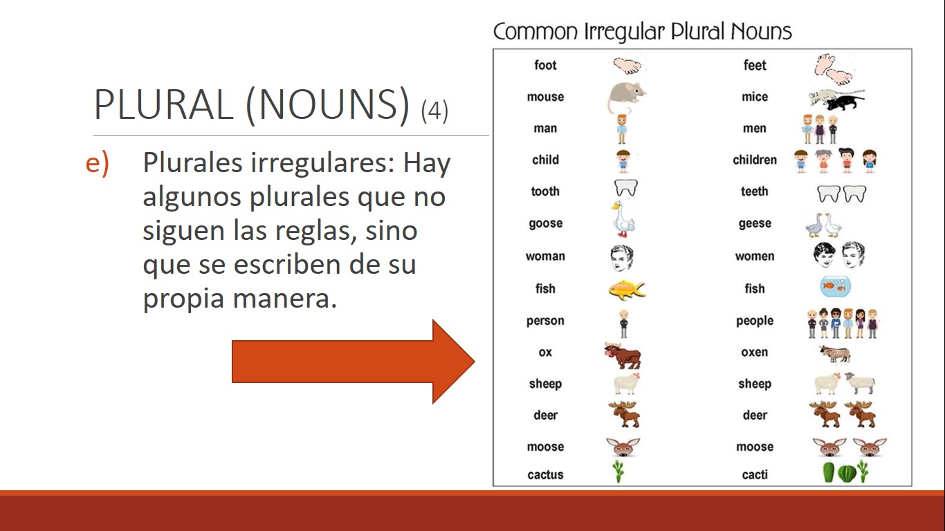 Week 3 may 18th to 24th