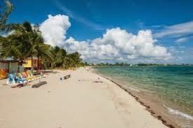 Sargassum seaweed craziness on the beach + Review of Dragonfly Moon! 81 Remaxvipbelize: Shores beautiful natture
