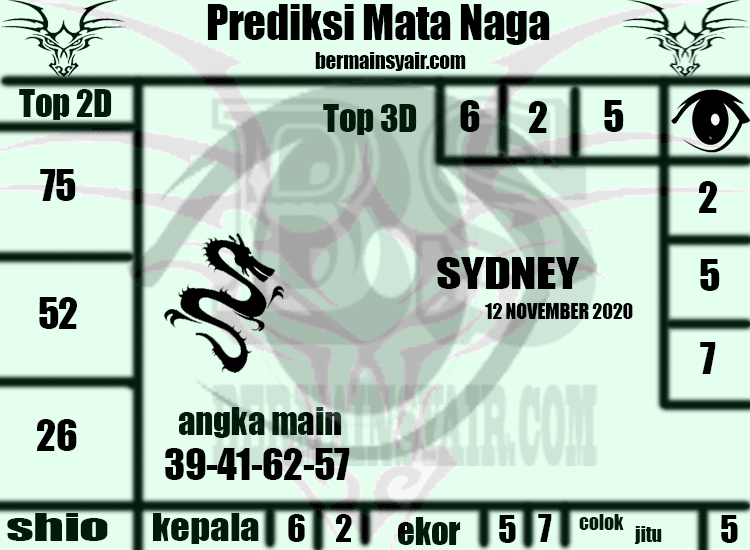 Kode Syair SDY Hari Ini Kamis 12112020 Bocoran Togel