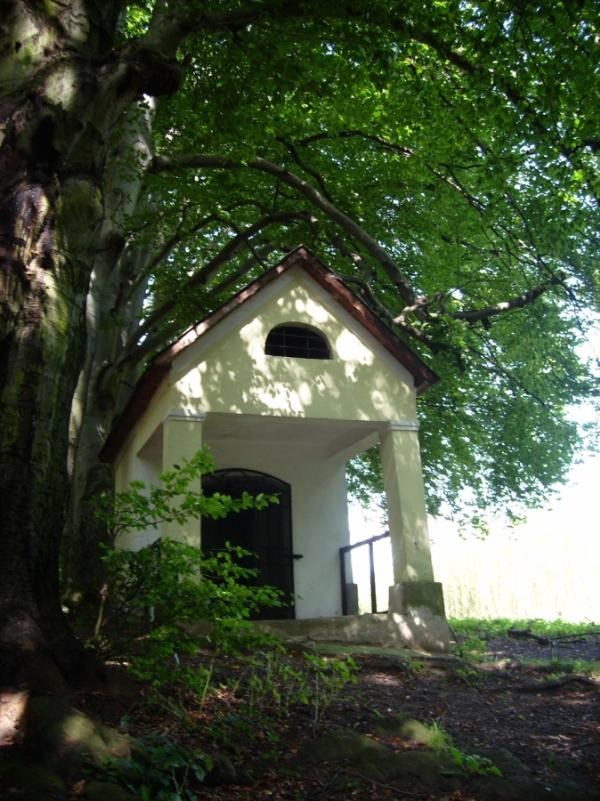Steiermark Gruner See Karibik In Der Steiermark Chamy