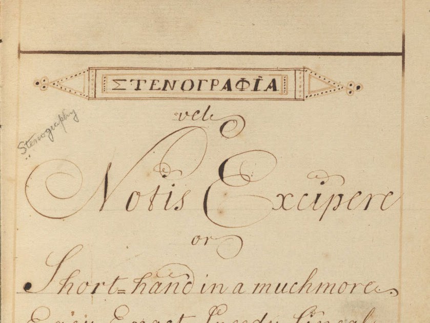 perfect for roquefort cheese alternative work site