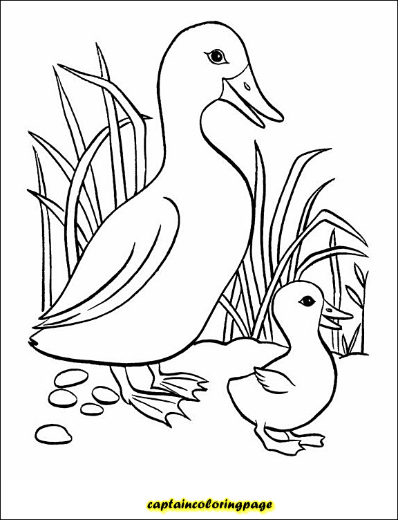 Coloring book pdf download