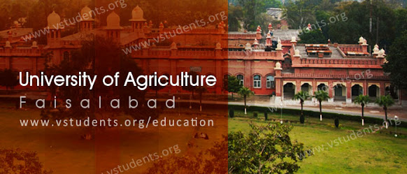 University%2Bof%2BAgriculture%252C%2BFaisalabad