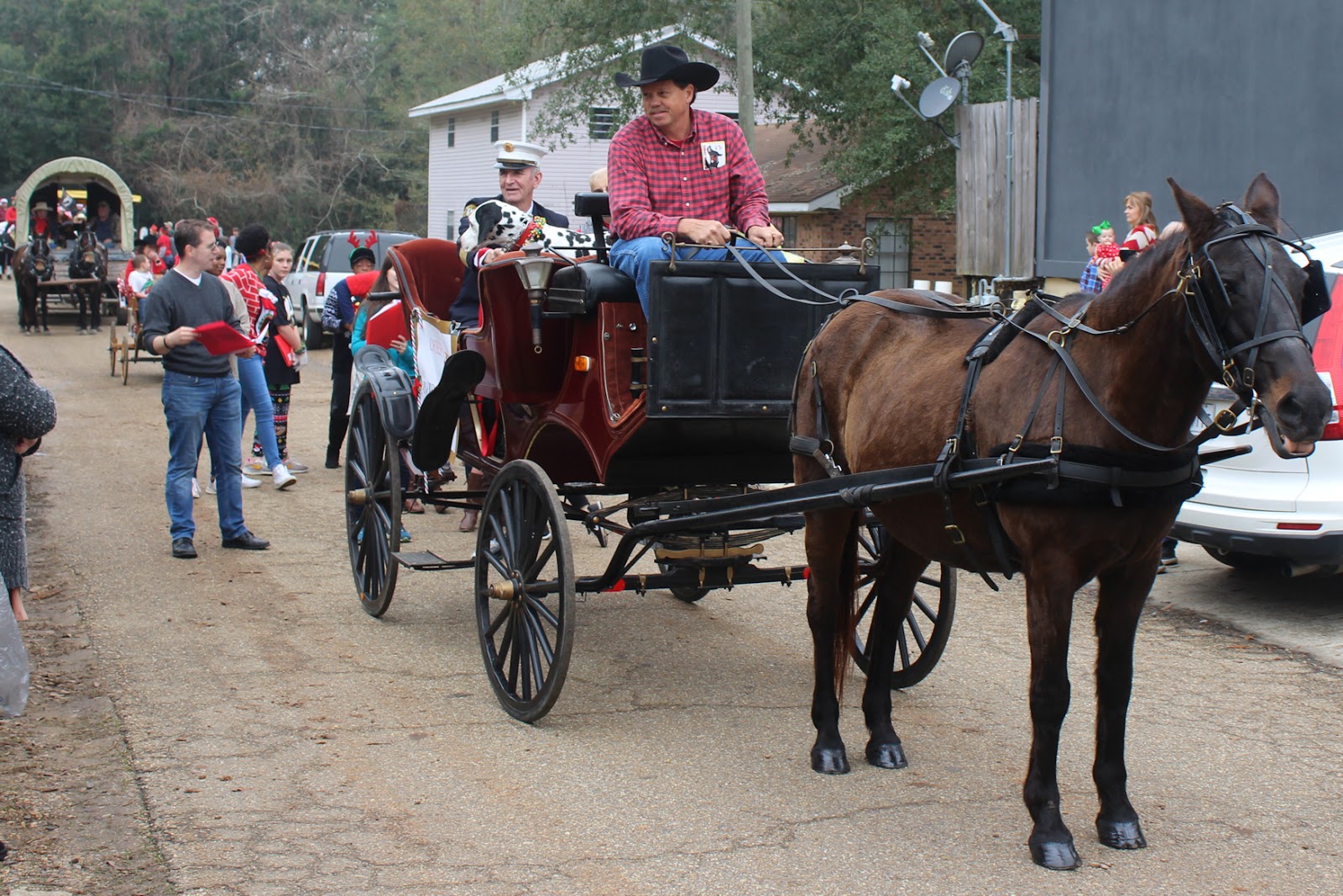 Tammany Family Folsom Horse & Wagon Christmas Parade