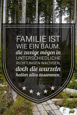 Die 50 besten Zitate zu den Themen Wald und Bäume | Waldzitate | Baumzitate | Naturzitate | Zitate-Wald | Inspirierende-Zitate