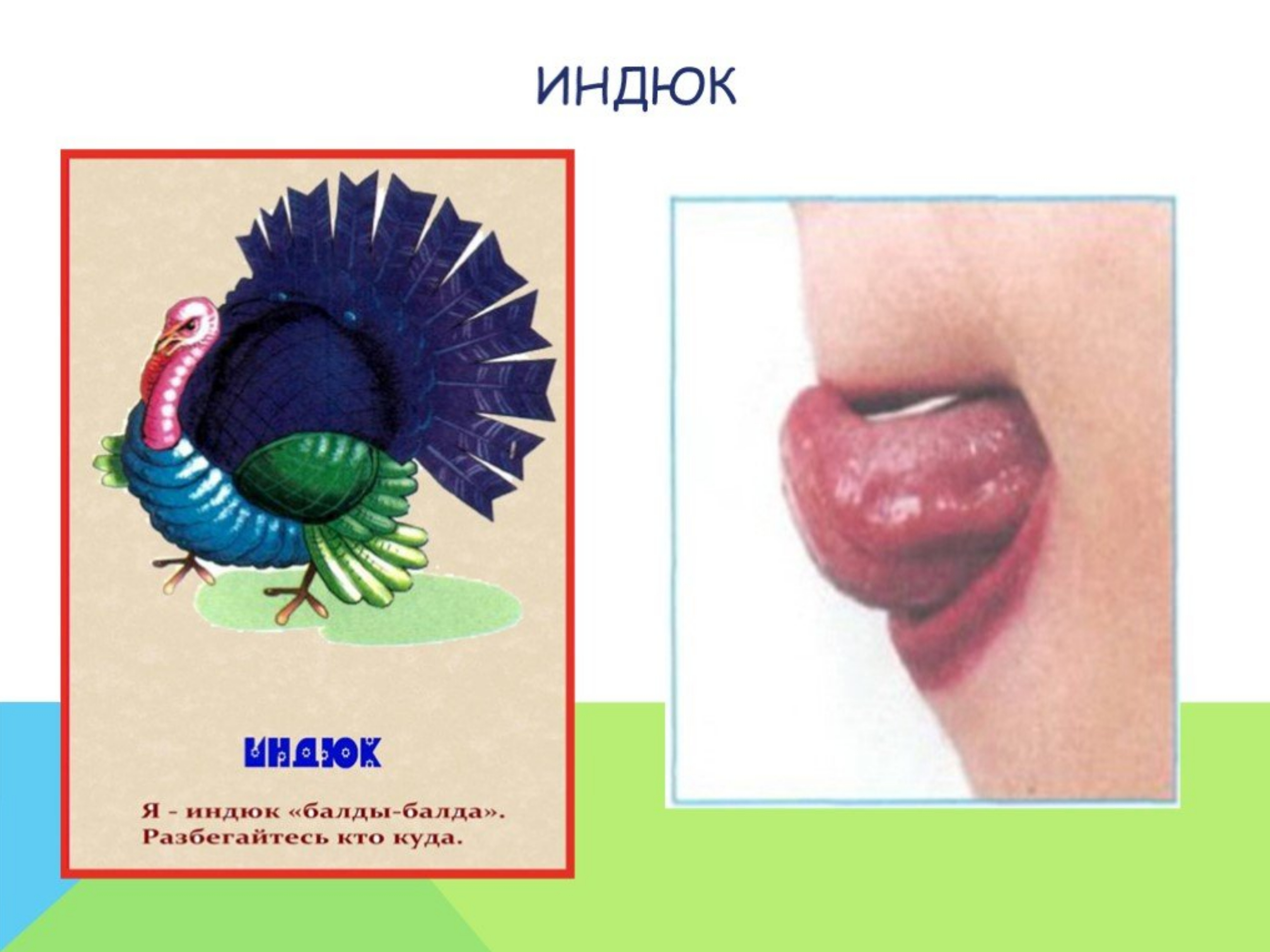 упражнение индюк артикуляционная гимнастика. индюк гимнастика для языка. упражнение индюк. артикуляционная гимнастика индюк для дошкольников. упражнение индюк.