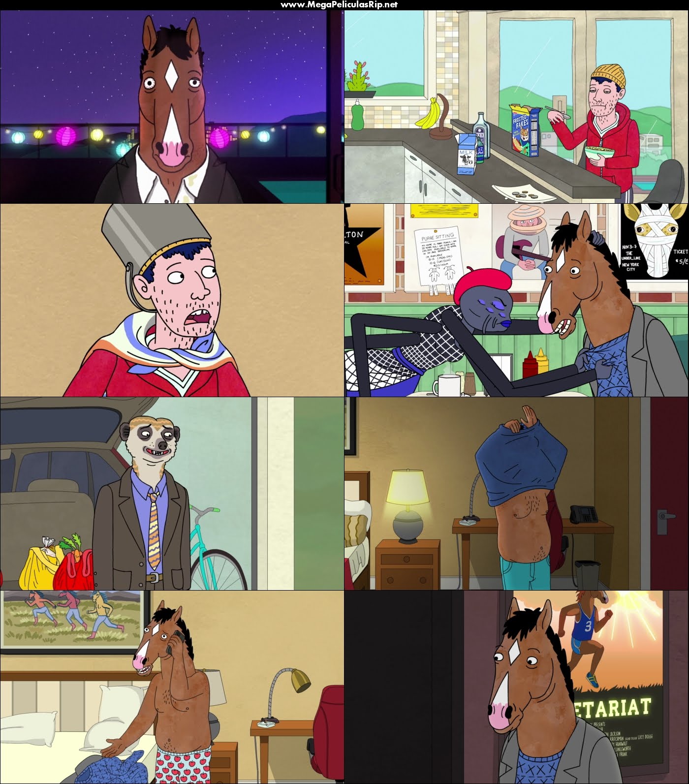 BoJack Horseman Temporada 3 1080p Latino