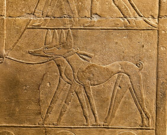 ancient egyptian guard dogs