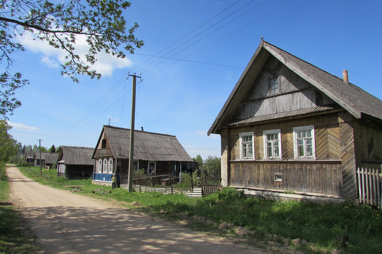 Деревня Гористо Дновский район