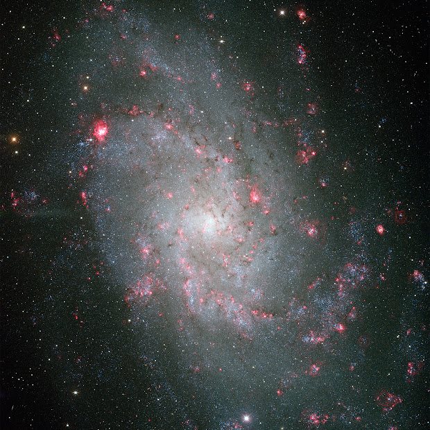 M33, the Triangulum Galaxy, by the Mayall 4-meter telescope