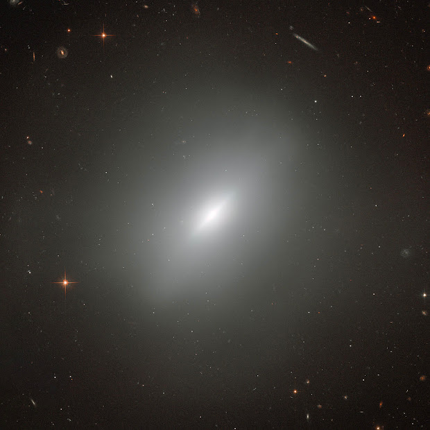 Elliptical Galaxy NGC 3610