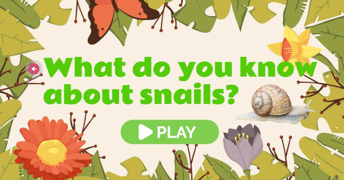 Snails game