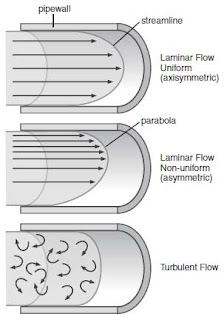 Application of Basic Science to Anesthesia Case File