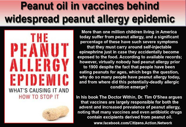 Severe Allergies to Peanuts, Eggs and Dairy Directly Linked to Ingredients in Common Vaccines  Vaccines%2Bpeanut%2Ballergies