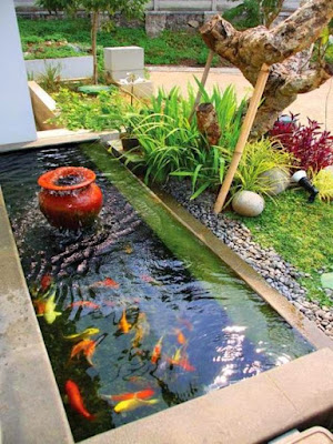 kolam minimalis dengan taman