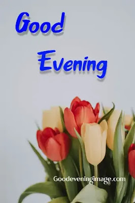 Good Evening photos Good Evening photos