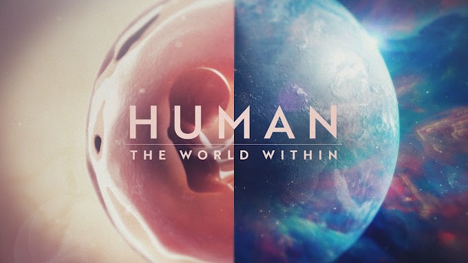 Ver Serie Dentro del cuerpo humano (2021) Online Documental Completo