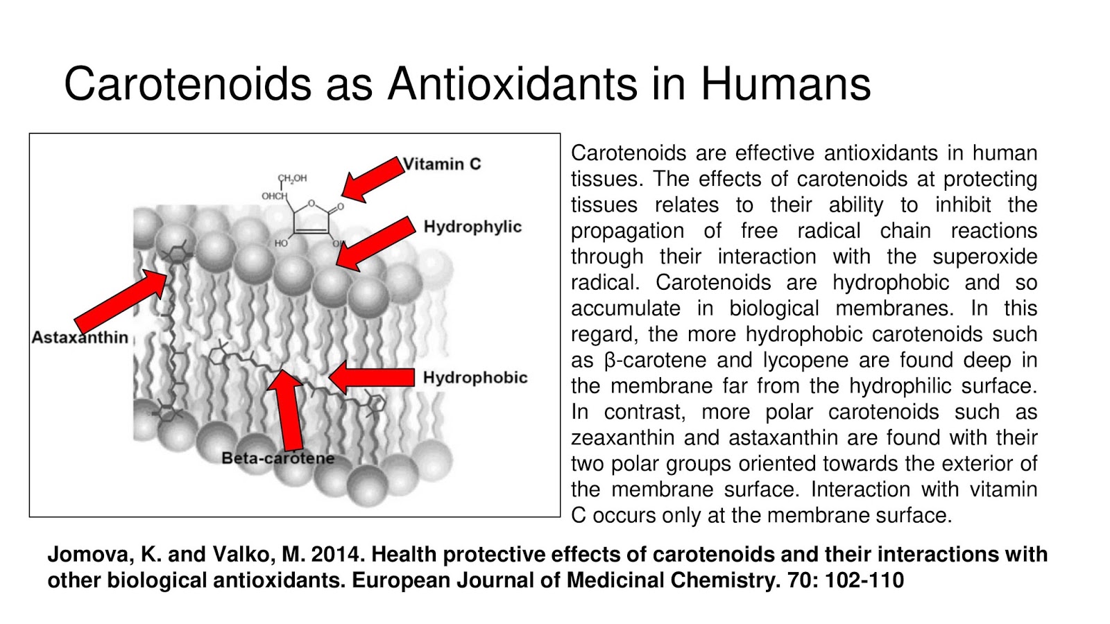 Carotenoids as Antioxidants in Humans