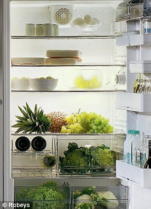 Con este refrigerador, ¿quién necesita cocina?