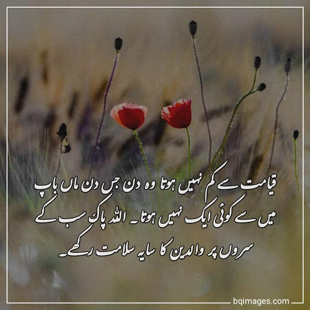 20 Best Parents Maa Baap Quotes in Urdu (2021) bqimages Beautiful
