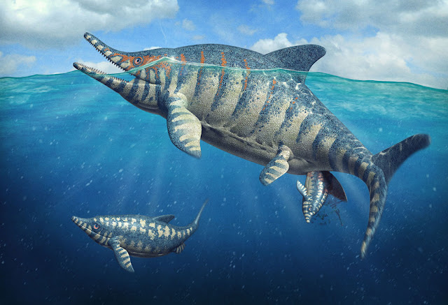 Ichthyosaurus birth scene