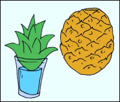 Soal Pilihan Ganda Perkebangbikan Vegetatif Untuk Kelas Vi Sd