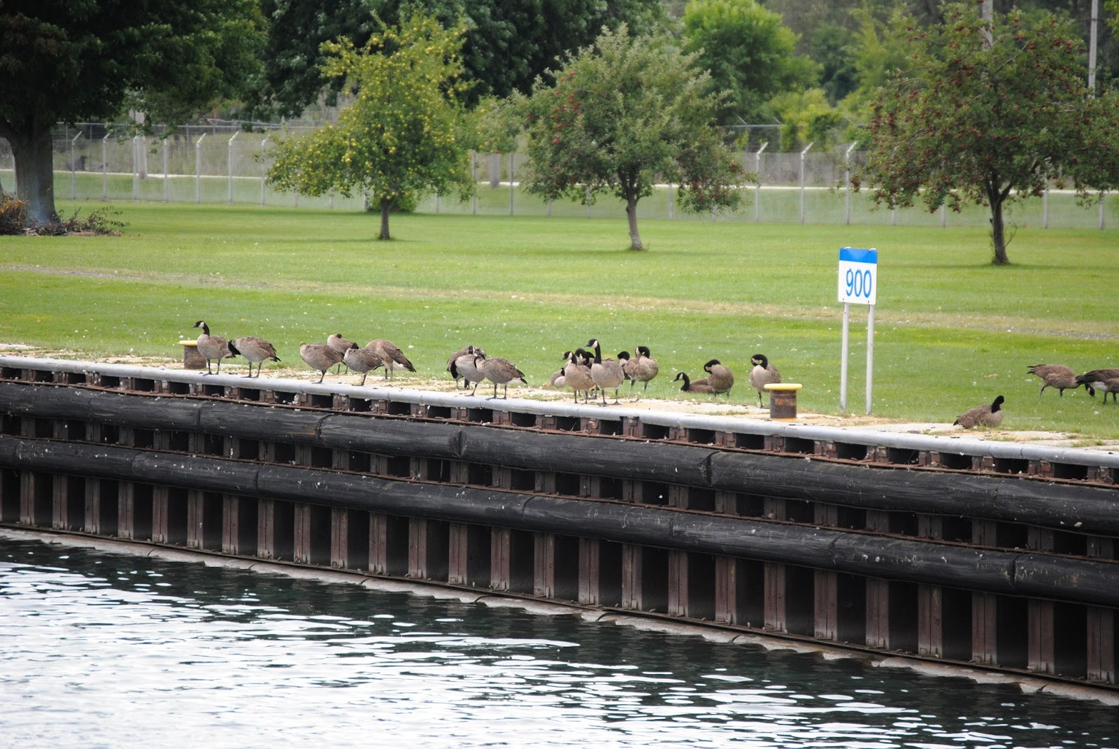 Our Adventures Dolton, Illinois