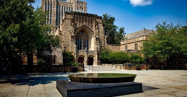 Bootstrap Business: Explore the Best Things to Do in New Haven, CT