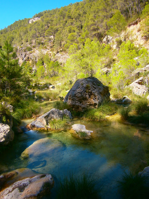 El río Fraile, en Bicorp. Autor: Miguel Alejandro Castillo Moya.