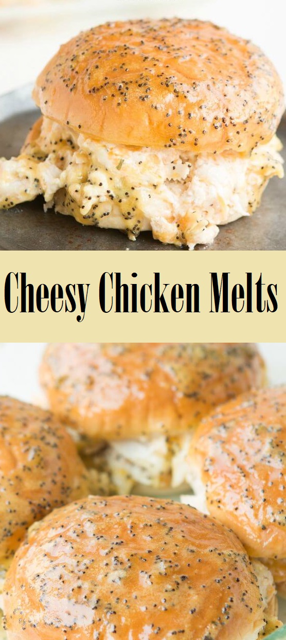 Special Cheesy Chicken Melts Healthy