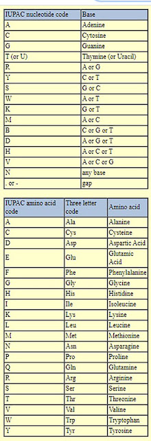 Nucleotide and Protein nomenclature used in sequence analysis (Source: www.bioinformatics.org)