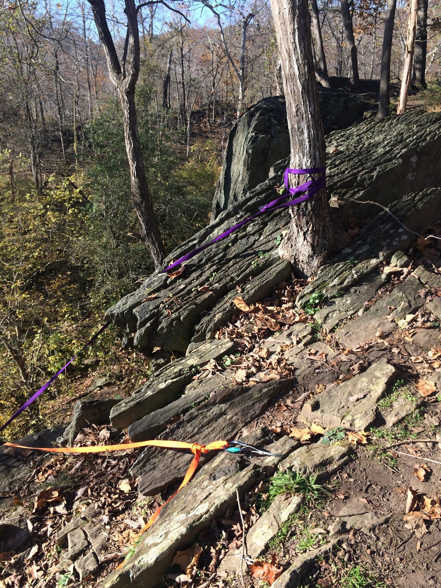 DumbAnchors Find The Smallest Rock dumbanchors-find-the-smallest-rock