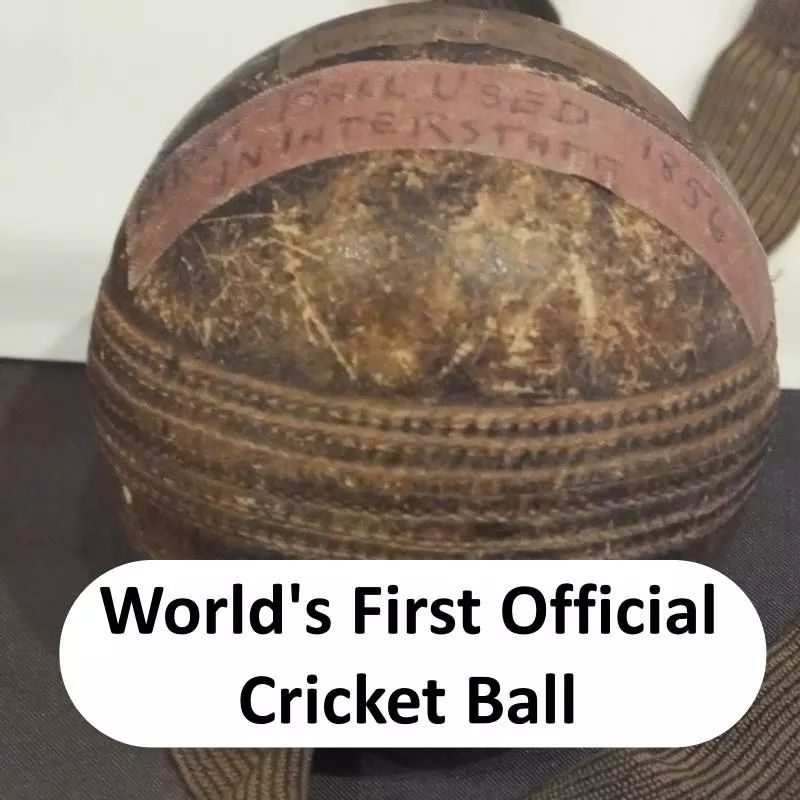 Cricket world cup