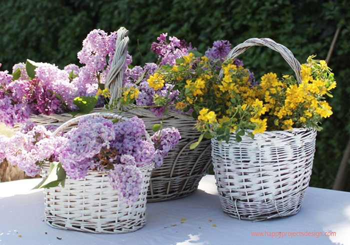cumpleaños en el jardín
