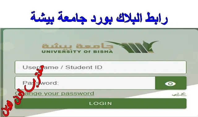 جامعة بيشة تسجيل دخول الطلاب