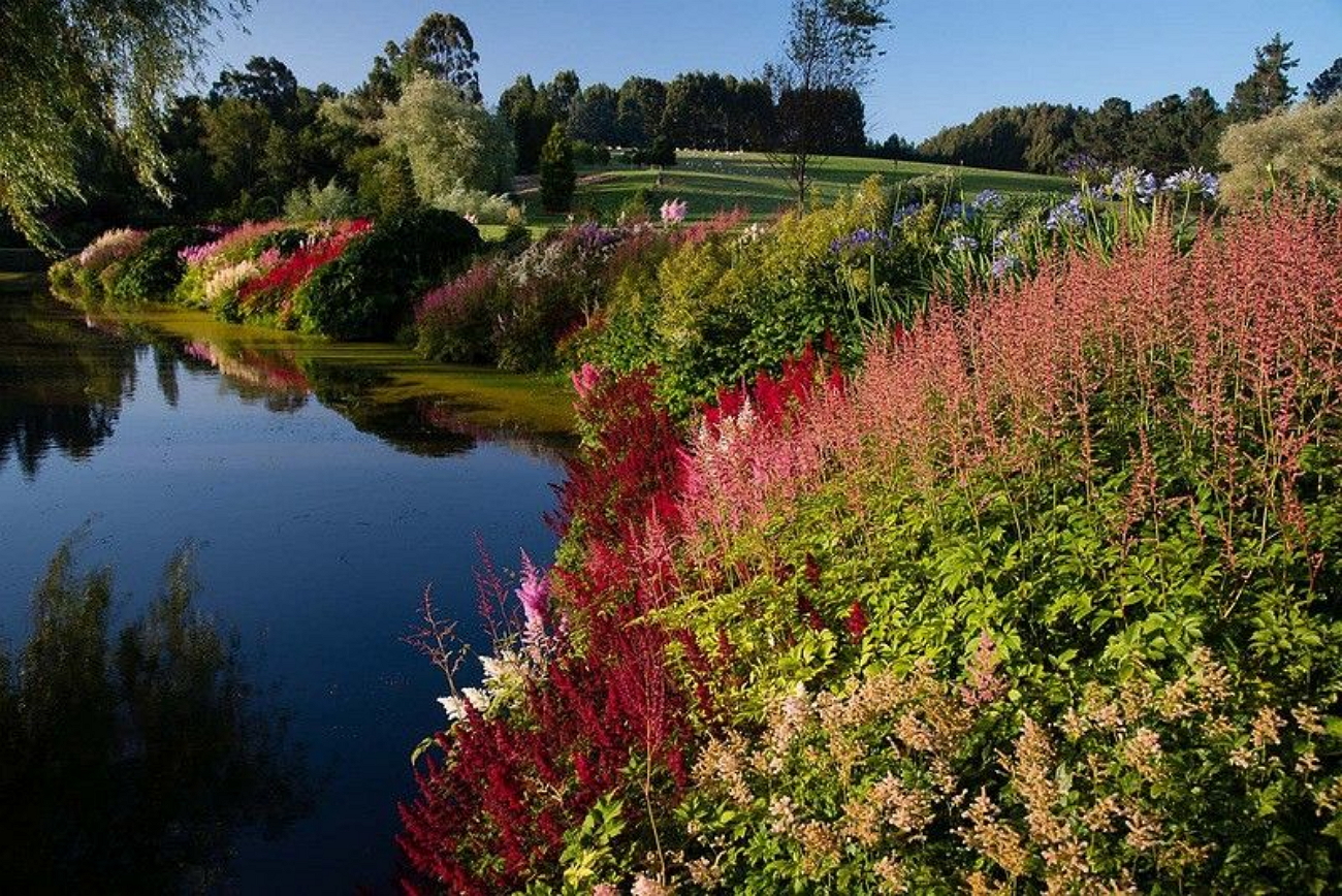 Окружающий мир 2 красота растений. Сад Maple Glen Garden, новая Зеландия. Сад Maple Glen в новой Зеландии фото. Затопленный сад новая Зеландия. Удивительная красота растений.