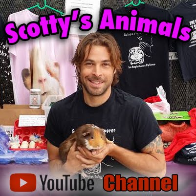 Scotty's Animals