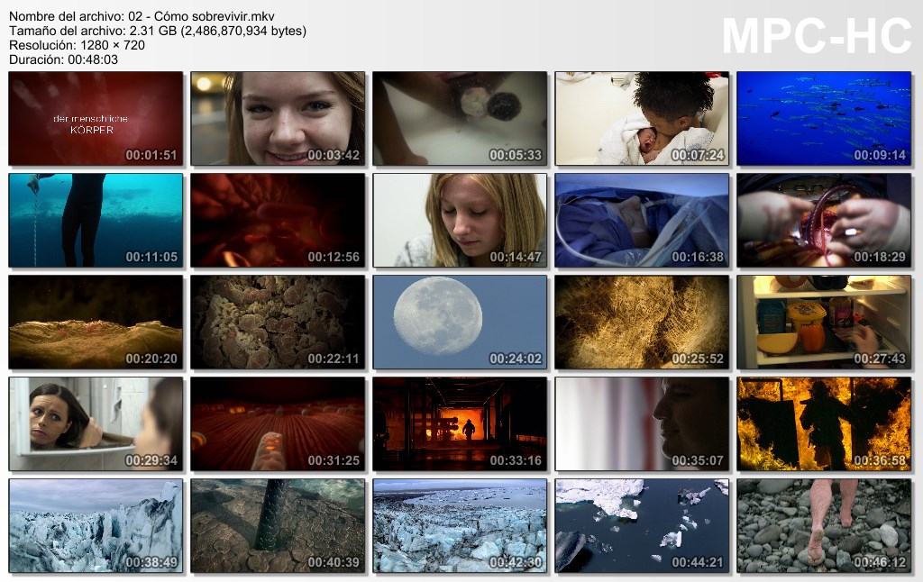 9GB|BBC|Dentro del Cuerpo Humano|HD 720|Dual|MEGA