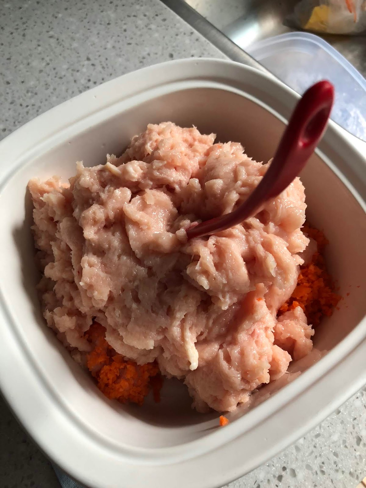 The Right to Be Alive Thermomix Mince Meat