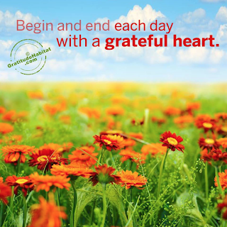 unnamed%2B%25281%2529