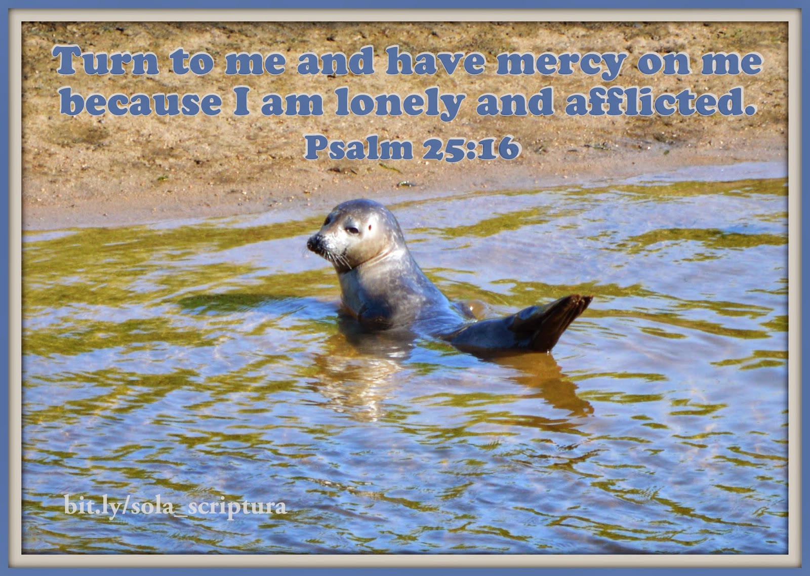 sola-scriptura-psalm-25-16