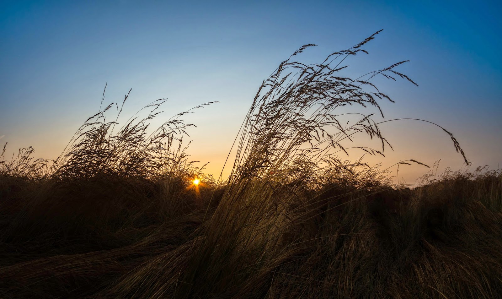 UCLA Faculty Association Yet another straw in the wind that all is not